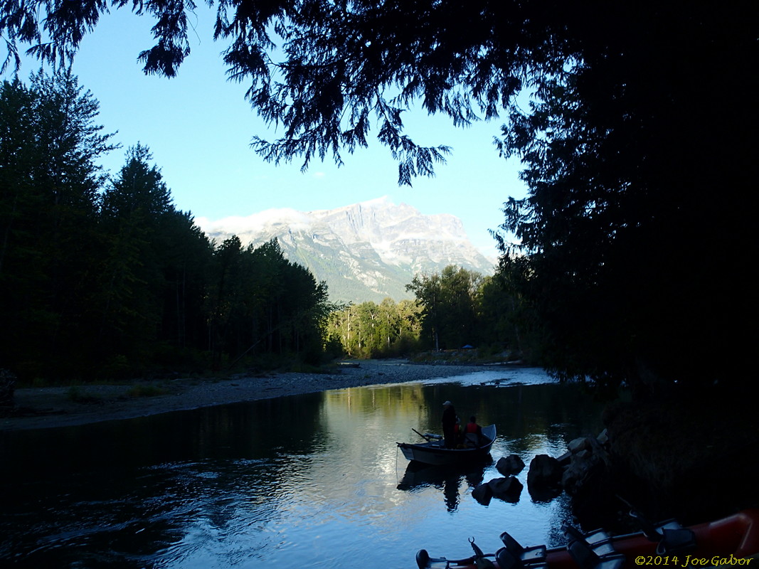 Grizzly Bear Drift Tour #2