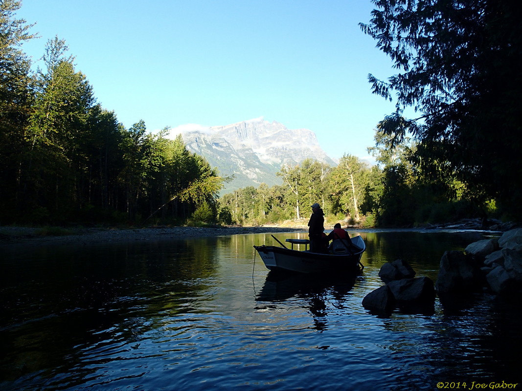 Grizzly Bear Drift Tour #2