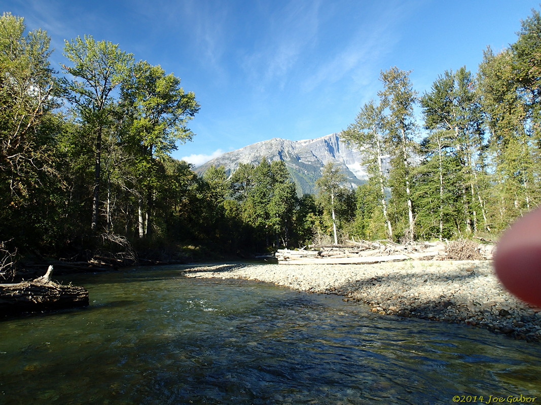 Grizzly Bear Drift Tour #2