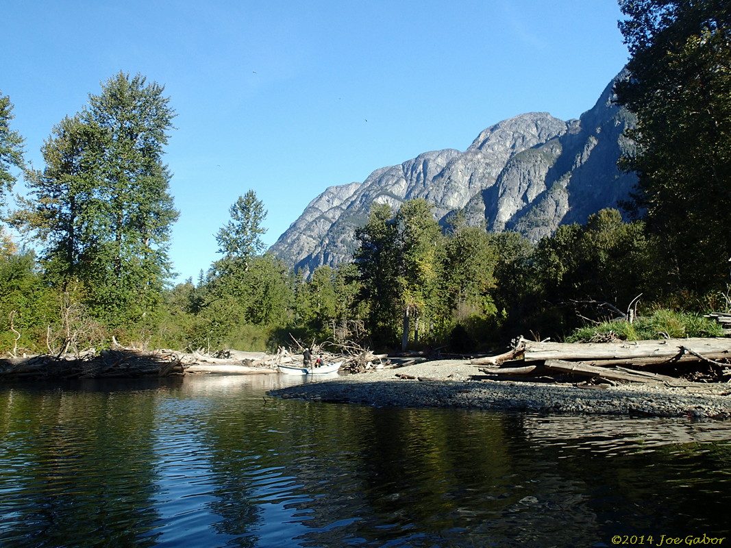 Grizzly Bear Drift Tour #2