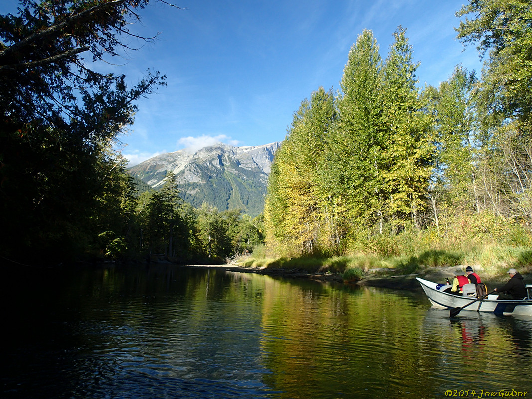 Grizzly Bear Drift Tour #2