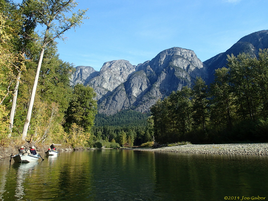 Grizzly Bear Drift Tour #2