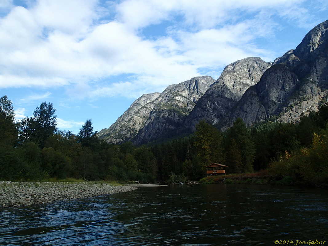 Grizzly Bear Drift Tour #2